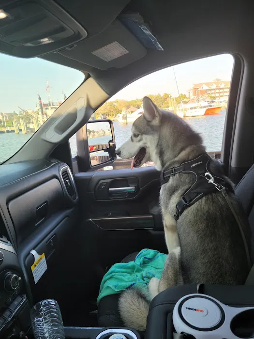 National Park Service Ocracoke Campground Picture 7