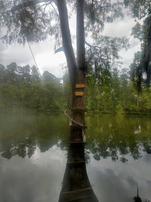 Bouton Lake Campground - Angelina National Forest Picture 2