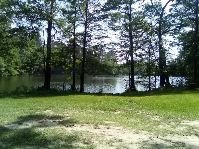 Bouton Lake Campground - Angelina National Forest Picture 5