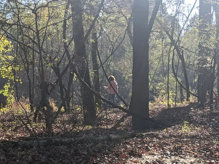 Bouton Lake Campground - Angelina National Forest Picture 3