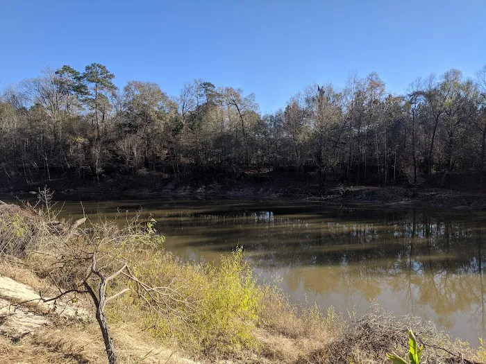 Bouton Lake Campground - Angelina National Forest Picture 4