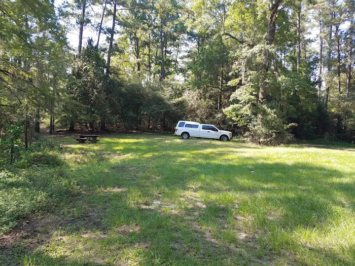 Bouton Lake Campground - Angelina National Forest Picture 10