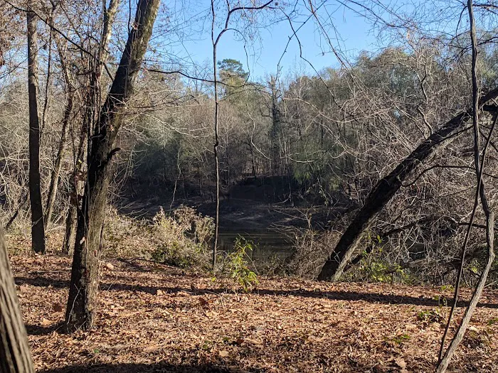 Bouton Lake Campground - Angelina National Forest Picture 6