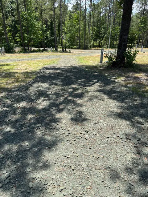 Crankbait cove rv park Picture 1