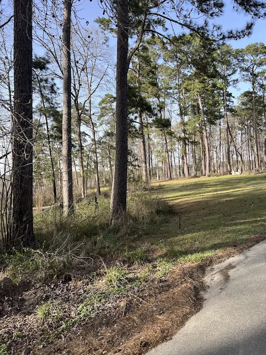 Caney Creek Recreation Area - Angelina National Forest Picture 8