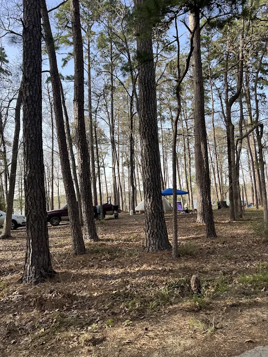 Caney Creek Recreation Area - Angelina National Forest Picture 9