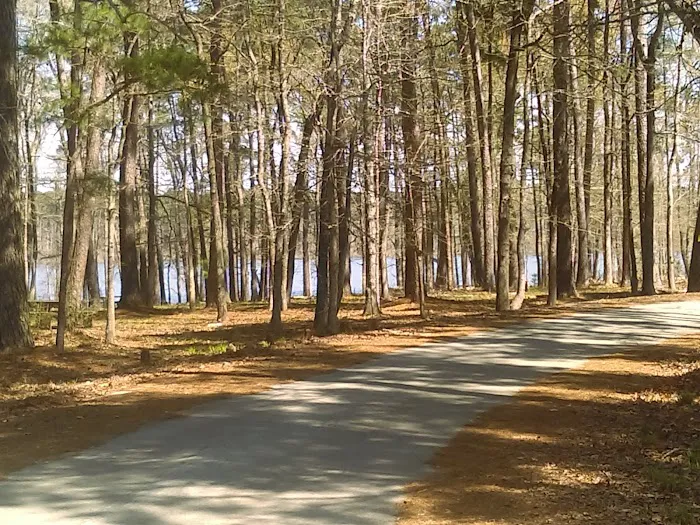 Caney Creek Recreation Area - Angelina National Forest Picture 3