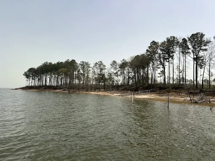 Caney Creek Recreation Area - Angelina National Forest Picture 6