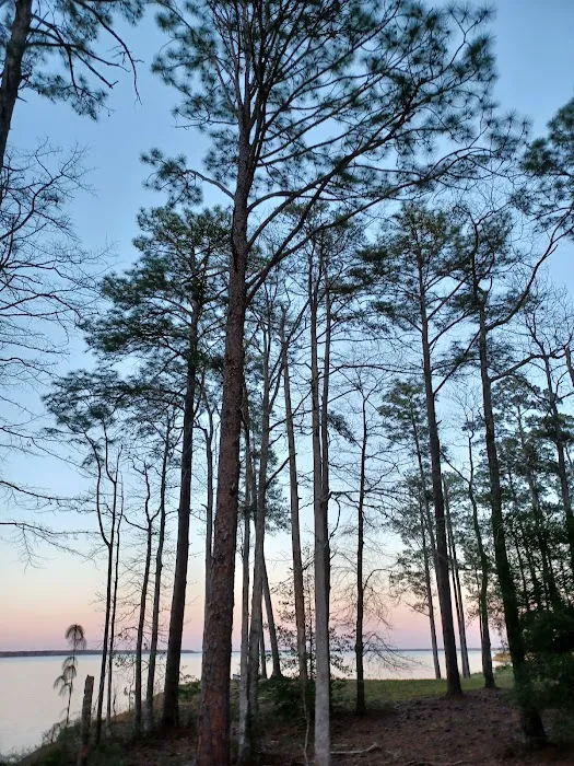 Westwood RV Park Picture 6