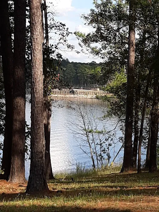 US Army Corps of Engineers Picture 3