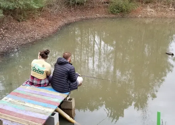 Mallard Haven Picture 3