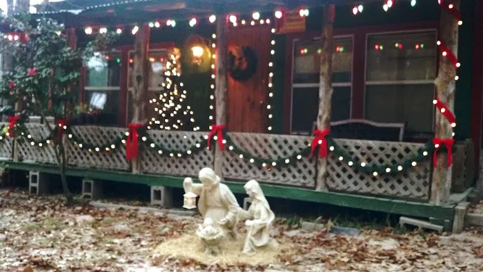 Mallard Haven Picture 4