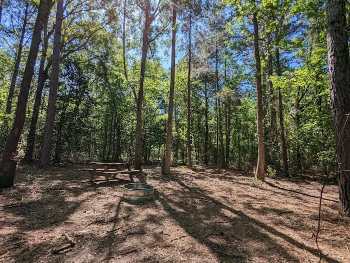 Evergreen Camping Adventures Picture 4