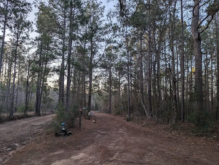 Evergreen Camping Adventures Picture 5