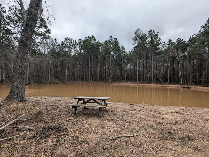 Evergreen Camping Adventures Picture 2