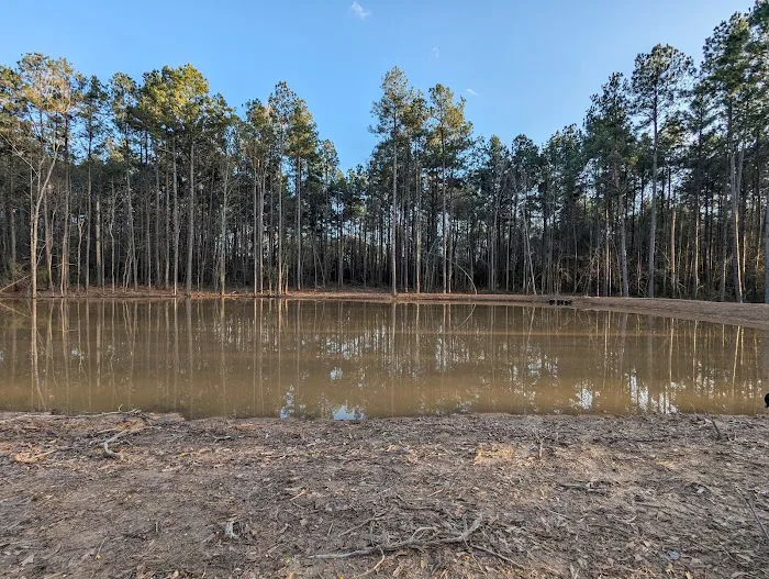 Evergreen Camping Adventures Picture 6