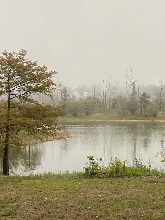 Campsite #35 Picture 1