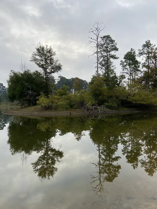 Campsite #35 Picture 3