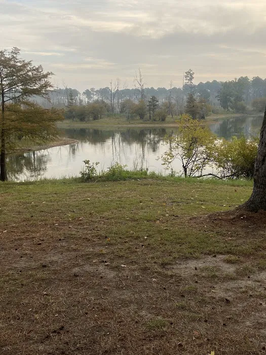 Campsite #35 Picture 7