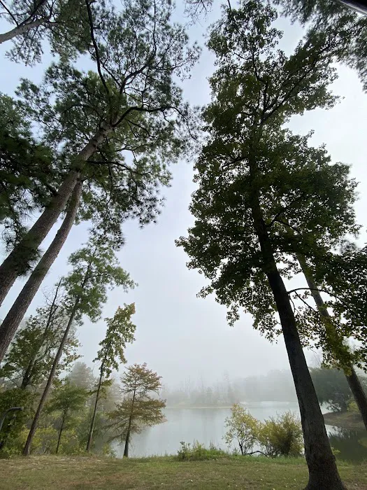 Campsite #35 Picture 5