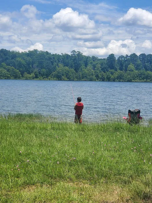 Shirley Creek Campground Picture 6