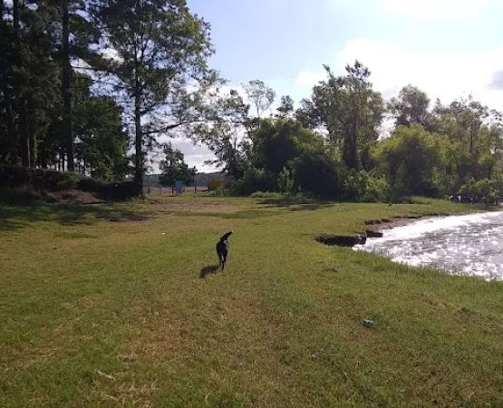 Shirley Creek Campground
