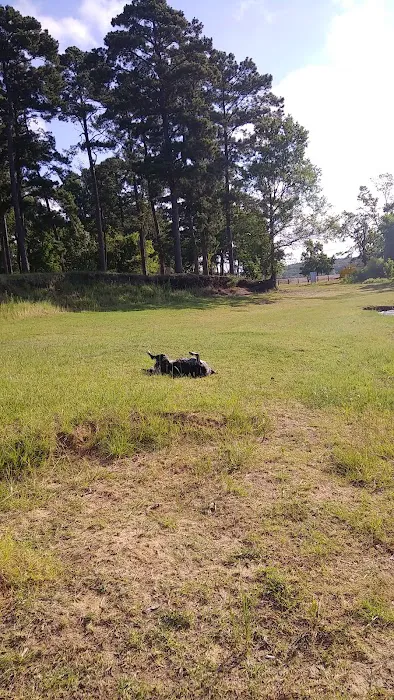 Shirley Creek Campground Picture 7