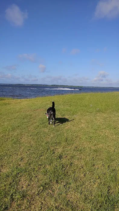 Shirley Creek Campground Picture 4