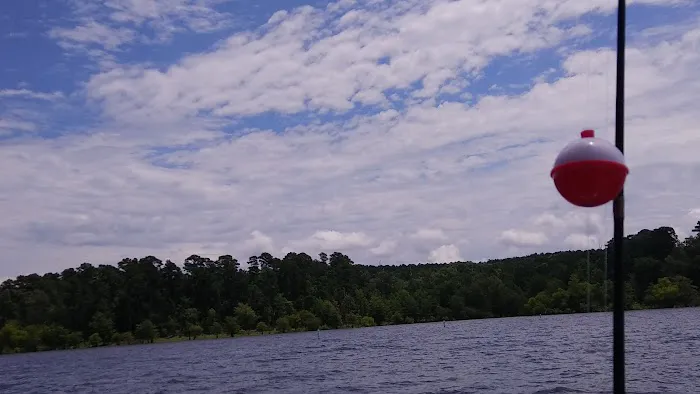 Shirley Creek Campground Picture 2