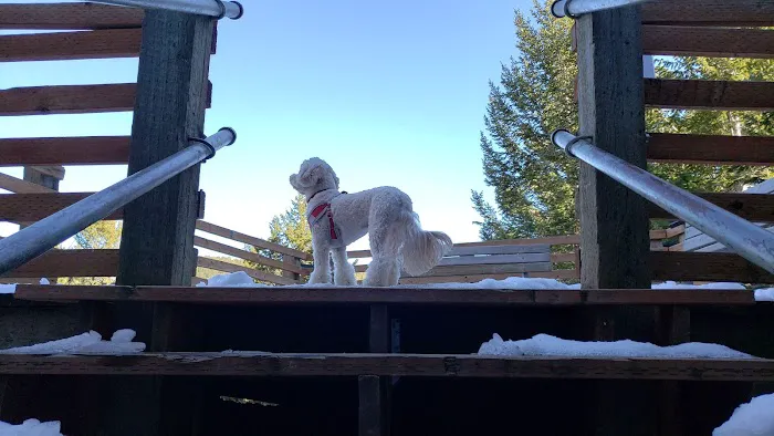 Big Ice Cave Campground Picture 9