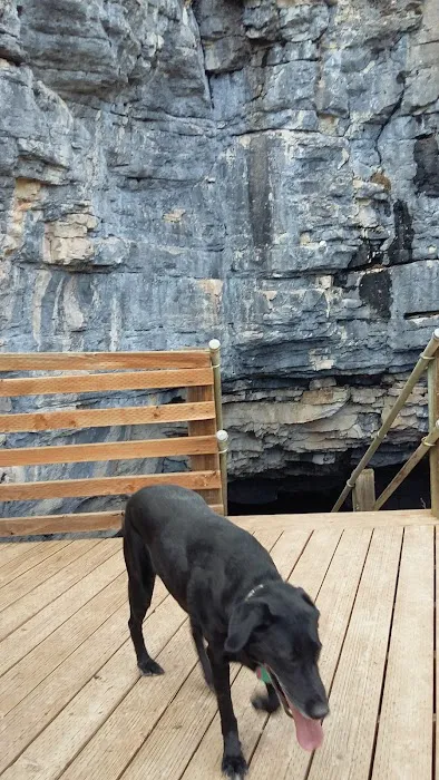 Big Ice Cave Campground Picture 6