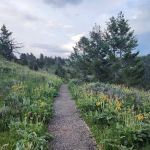 Big Ice Cave Campground