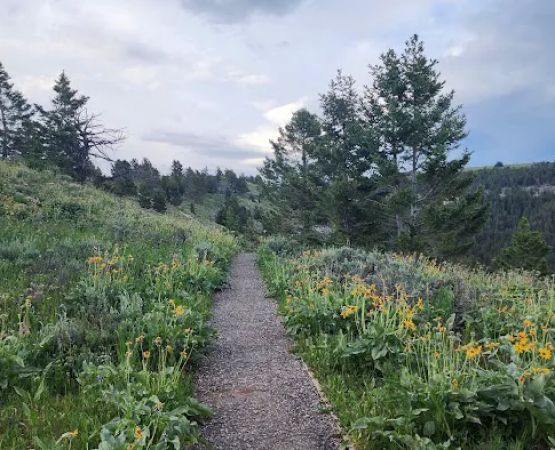 Big Ice Cave Campground