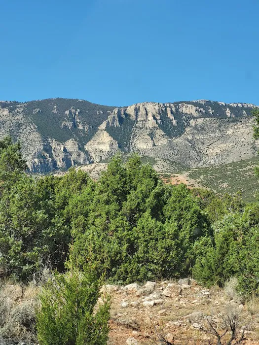 Trail Creek Campground Picture 2