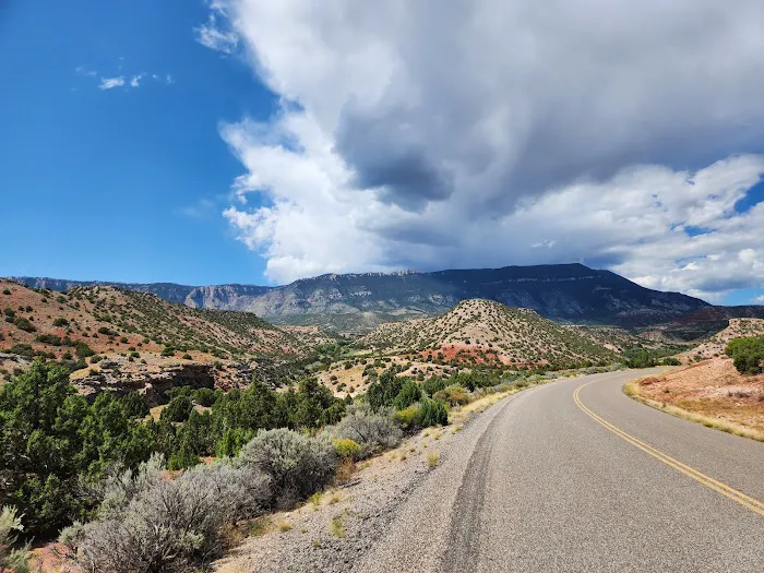 Barrys Landing Campground Picture 6