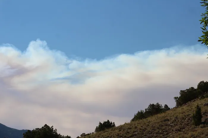 Barrys Landing Campground Picture 1