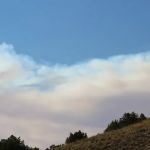 Barrys Landing Campground