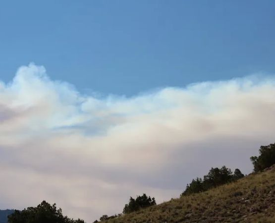 Barrys Landing Campground