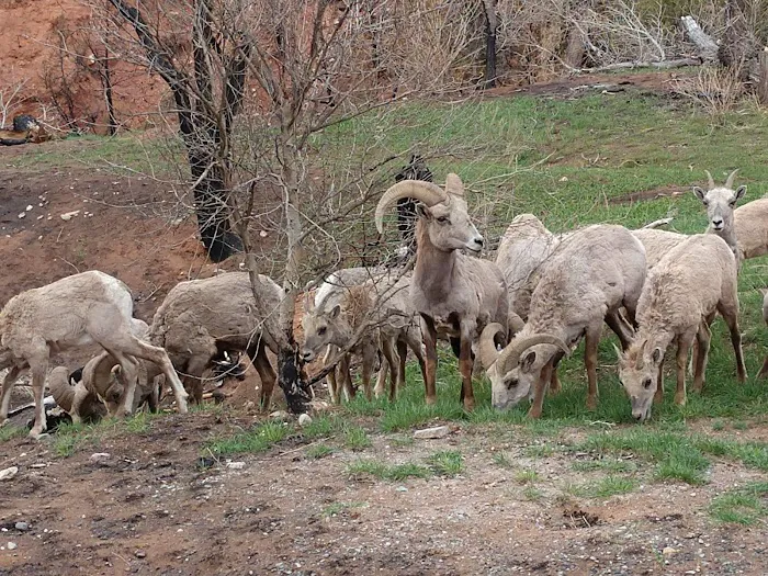 Barrys Landing Campground Picture 7