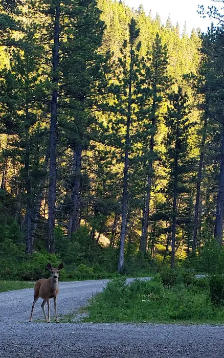 Logging Creek Campground Picture 10