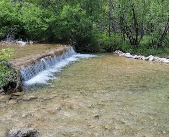 Logging Creek Campground