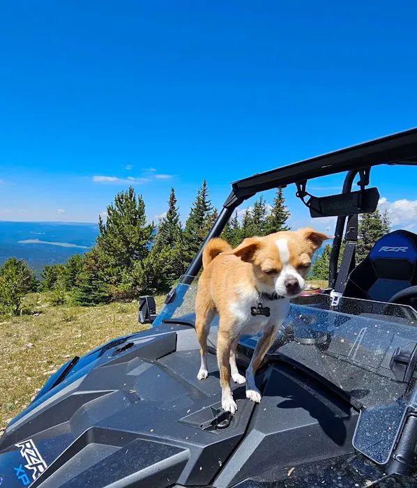 Jellison Place Campground Picture 1