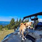 Jellison Place Campground