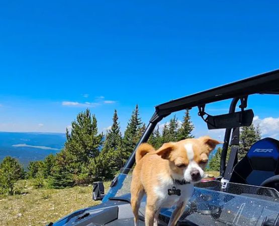 Jellison Place Campground