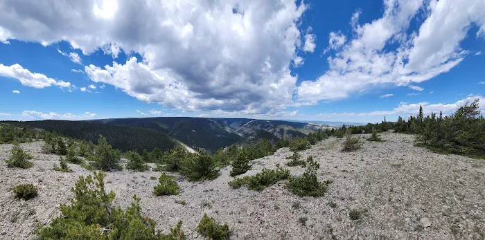 Jellison Place Campground Picture 6