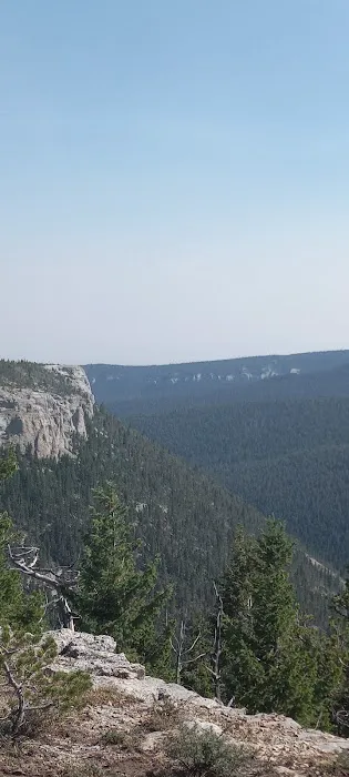 Jellison Place Campground Picture 7