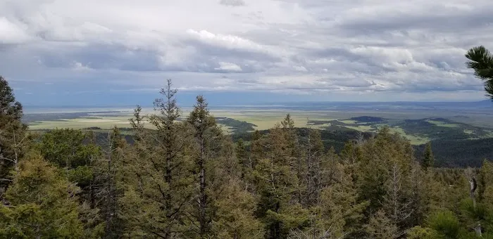 Jellison Place Campground Picture 4