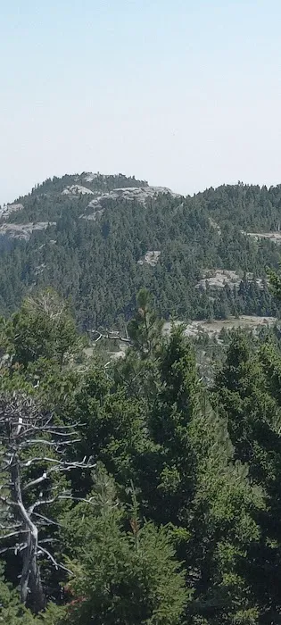 Jellison Place Campground Picture 9