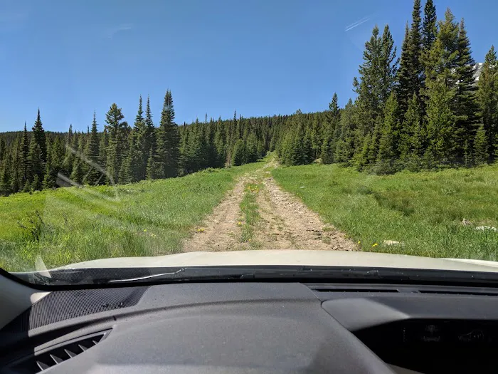 Forest Lake Camping Area Picture 2