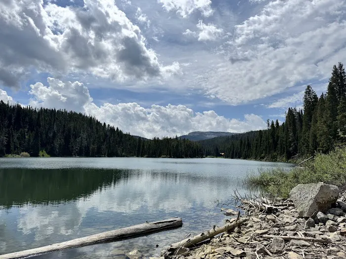 Forest Lake Camping Area Picture 4